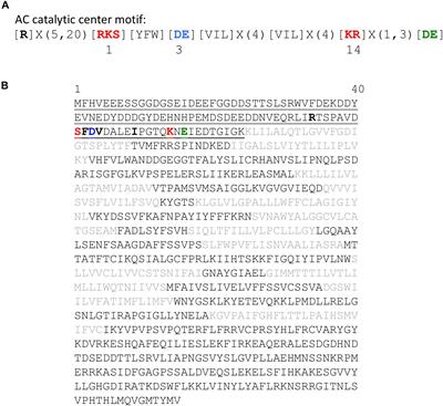 The Arabidopsis thaliana K+-Uptake Permease 5 (AtKUP5) Contains a Functional Cytosolic Adenylate Cyclase Essential for K+ Transport